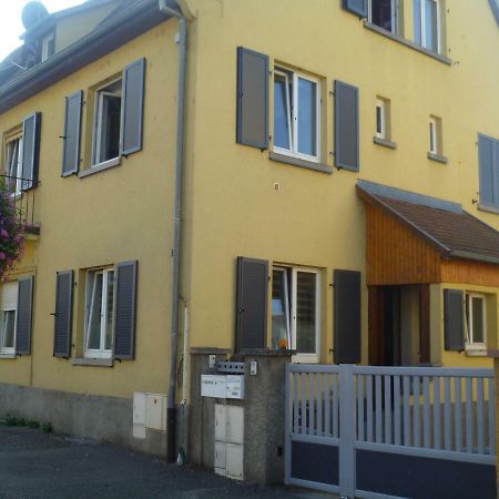 Gite Le Schnouki Ostheim Exterior photo